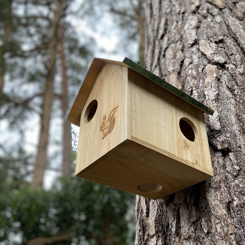 Izaguirre Mounted Squirrel House