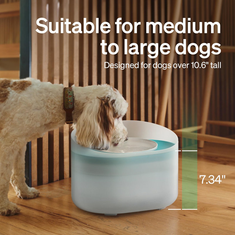 PETLIBRO 2.1Gal Capsule Dog Water Fountain with Anti-Splash Design
