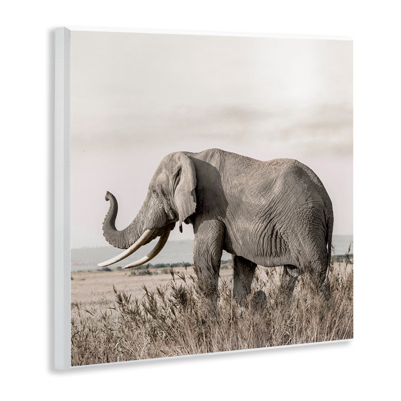 «Serene Elephant in Nature», art mural par Danita Delimont