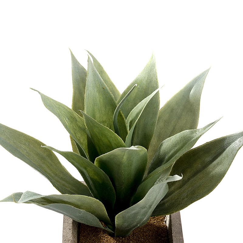 Plante succulente artificielle en pot 7,4 po