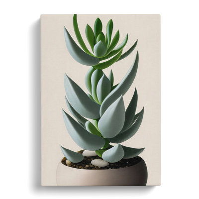 Succulent Plant - Wrapped Canvas