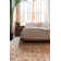 Cevenola Oriental Indoor Rug