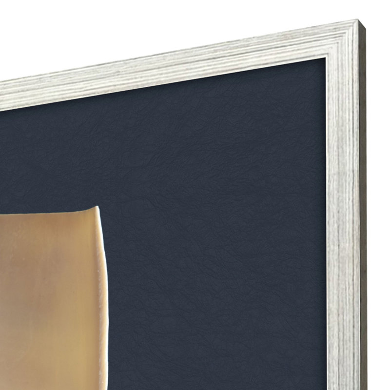 Nautilus Triptych Framed Art