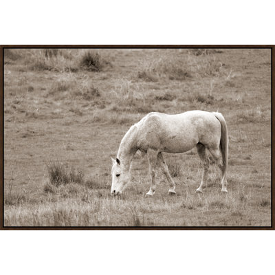 Graze III Print by Adam Mowery
