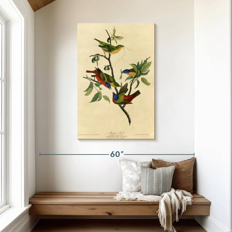 Brampt Painted Finch, 45" H x 30" W