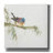 'Finch' by Chris Paschke, Canvas Wall Art-908138551