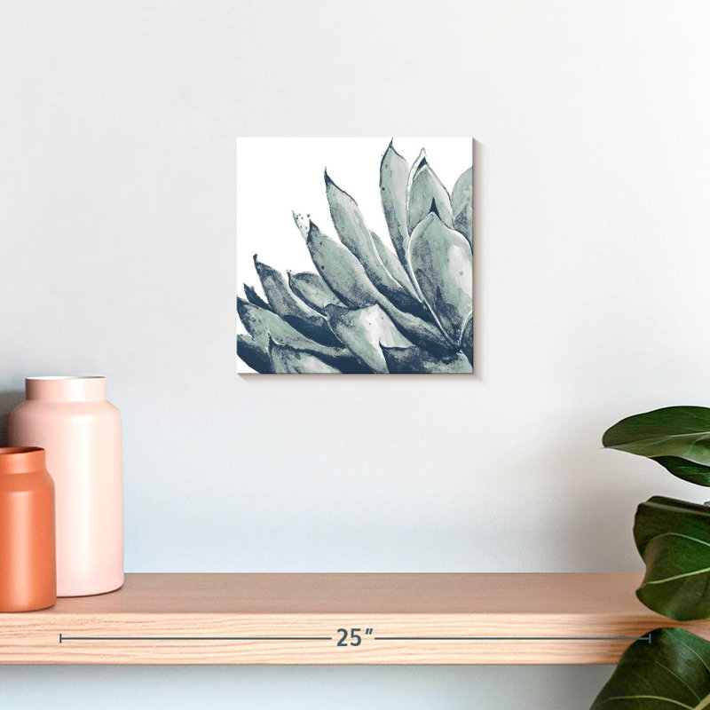 Agave bleu Harnek sur fond blanc I, H 10 po x l 10 po