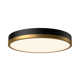 Orland Single Light LED Flush Mount