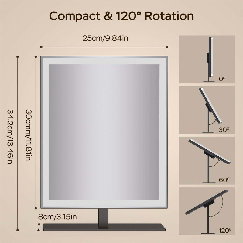 Demetrias Metal Rectangle Floor Mirror, Black
