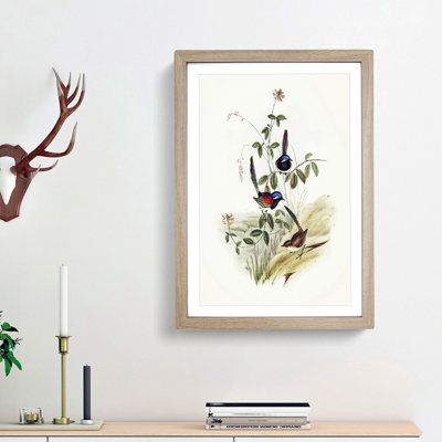 Beautiful Wrens by Elizabeth Gould - Single Picture Frame Painting
