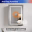 Armoire à pharmacie encastrée ou à fixation en surface de 20 po x H 26 po à DEL avec désembueur à miroir et 2 tablettes réglables-803613682