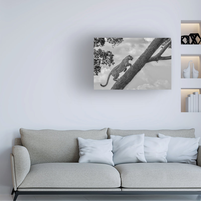 Art sur toile «bolle Henry Zhao», H 12 po x l 19 po