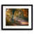 Black Framed Paper selected