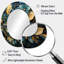 Shadale or feuilles charme en hiver I - miroir décoratif de feuilles-315966279-315966274