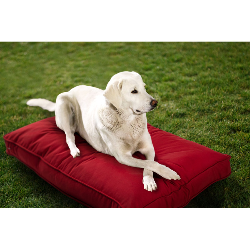 Lit pour chien d'intérieur et d'extérieur Sunbrella, Grand (l 40 po x P 30 po x H 4 po), Rouge cerise