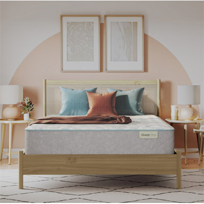 BeautySleep Slumberscape 13.75" Plush Quilted Mattress Set with Low Profile 6" Foundation by Beautyrest