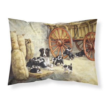 Border Collie Microfiber