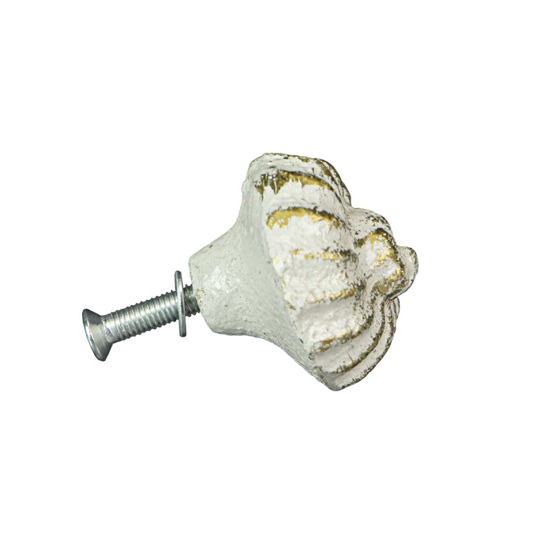 Nautilus Shell Novelty Pull Multipack, White