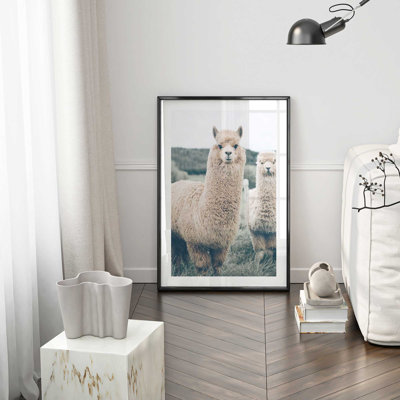 Alpaca Charm Print