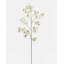 Dancing Oncidium Orchid 46.5"