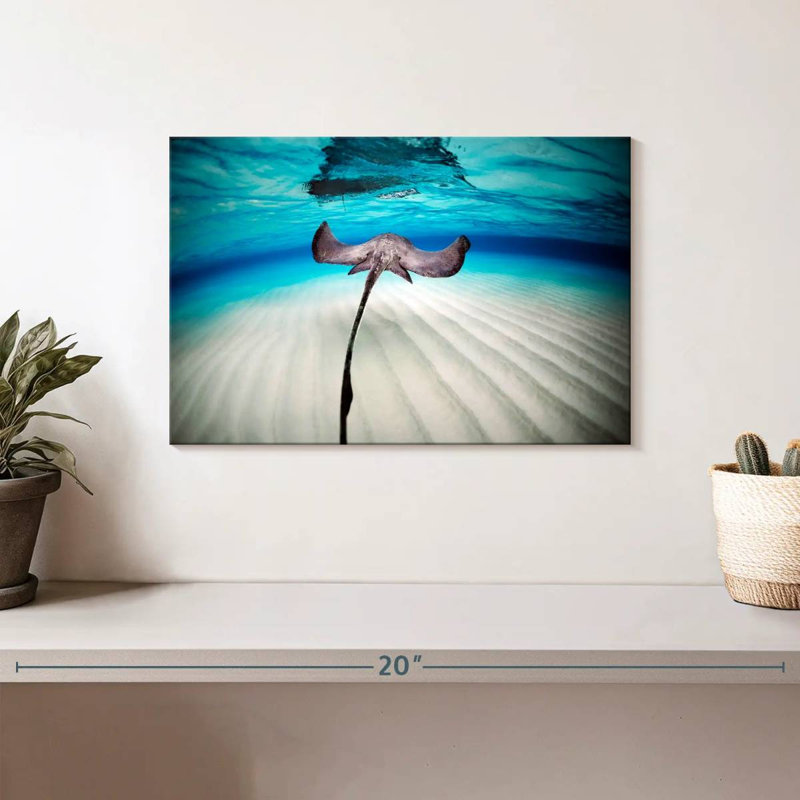 Paysage sous-marin Braming Stingray, H 8 po x l 12 po