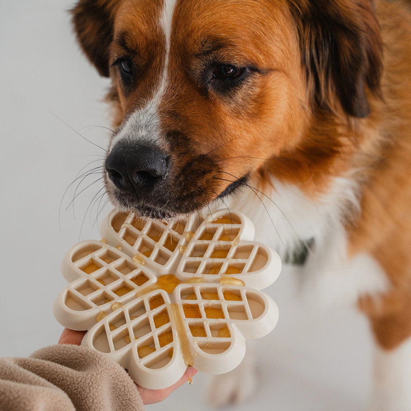 Dexypaws: Cache-cache lent - Crème au beurre - Chien et animal de compagnie, accessoire d'alimentation pour repas et gâteries, s'adapte à la plupart des bols de 8 po, base à ventouse, silicone de qualité alimentaire
