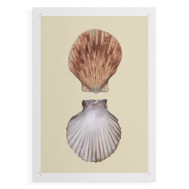 Bivalve Shells III - Impression sur toile seulement - NON CADRE