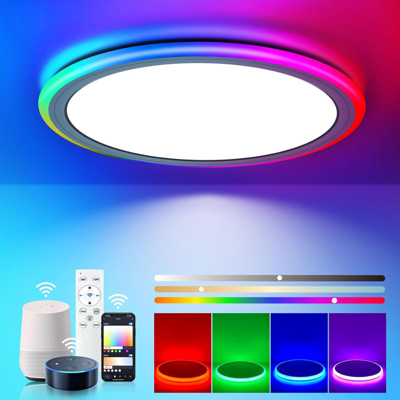 Dimmable LED Smart RGB Flush Mount Ceiling Light