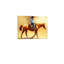 «Little Cowboy Dreamer», art mural sur toile sans cadre 24 po x 18 po