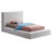 Issaias Upholstered Panel Storage Bed-88359534-88359536