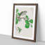Barbary Dove and Oak Tree by Numata Kashu - Picture Frame Painting Print-55683398-55683400
