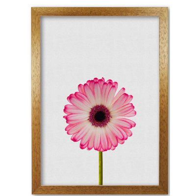 Daisy Still Life - Print