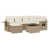 Beige est en rupture de stock