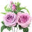 Rose Arrangement-1836775190