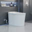 Toilette intelligente sans réservoir une pièce avec siège de bidet intégré, siège à ouverture / fermeture automatique, température réglable, capteur de pied, eau chaude et sécheuse, poignée latérale avec plusieurs commandes