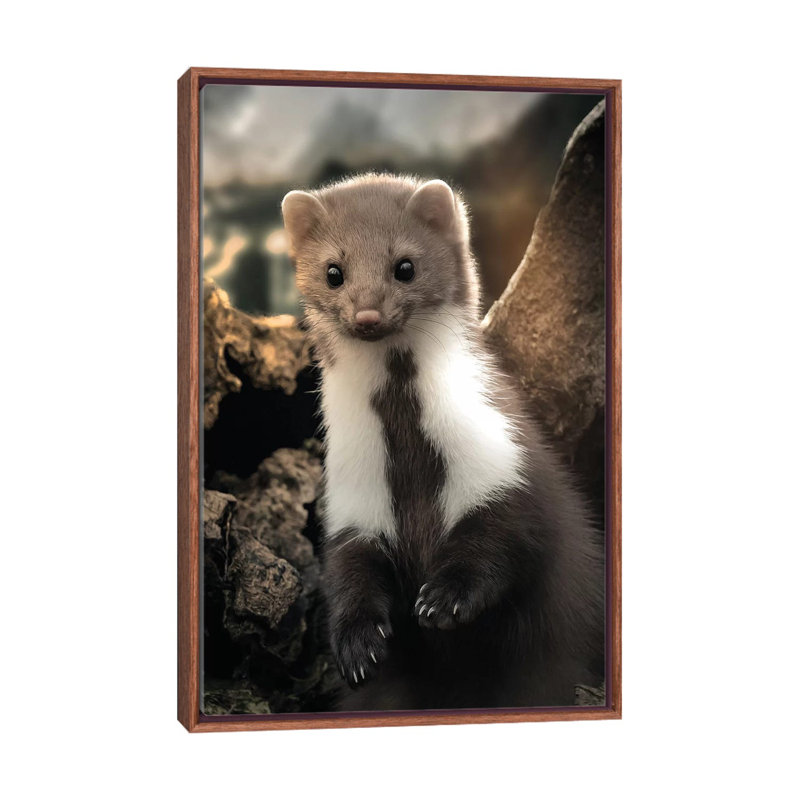 The Cute Weasel 1 Piece Wall Art on Canvas, 66.04 cm H x 45.72 cm W x 3.175 cm D, Classic Brown Wood Framed