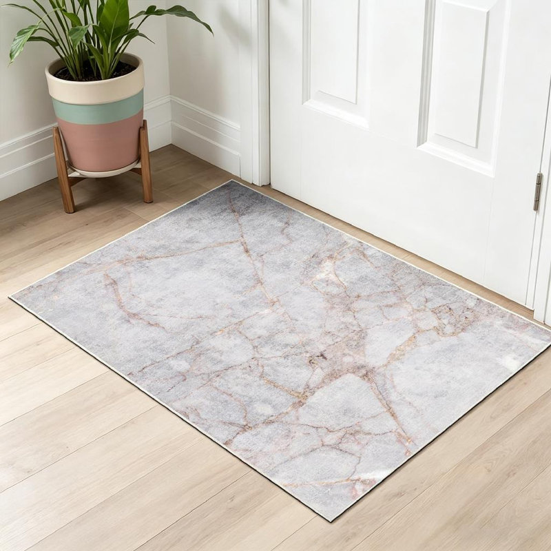 Tapis d'intérieur lavable à la machine