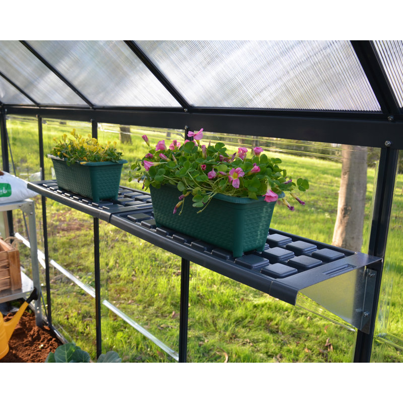 Palram - Canopia Greenhouse Shelf Kit