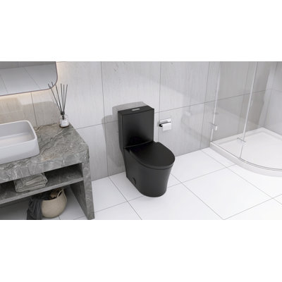 Toilette allongée une pièce à double chasse 1,1 / 1,6 GPF noir mat 1000g, noir mat