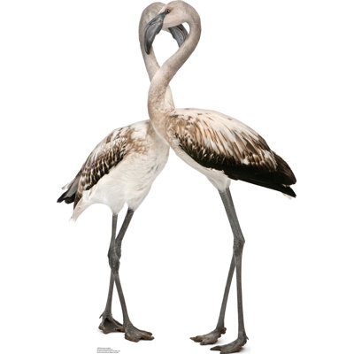 47'' Animals Cardboard Standup