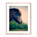 Horse Profile 5 Print by Pernille Westh