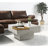 Kailano Weathe Finish Coffee Table