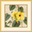 Golden Briar 2 Print