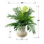 28-Inch Phoenix Palm in Woven White Basket Urn