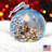 Holiday Splendor 5'' Glass Ball Ornament
