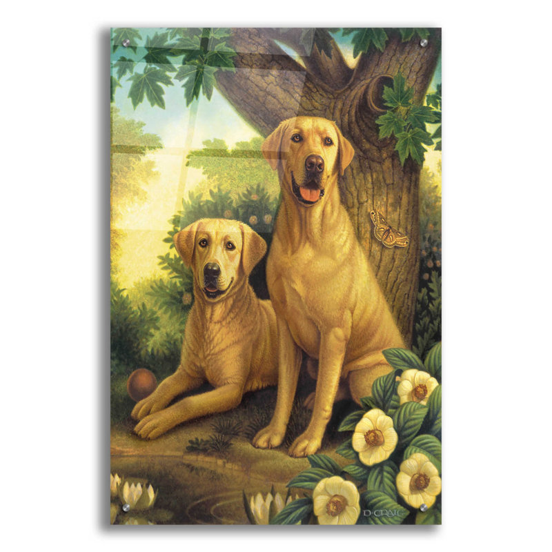 Yellow Labs par Dan Craig, H 36 po x l 24 po x P 0,2 po