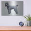"Caniche" par Harro Maass-489508396