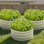 Ensemble de 3 jardinières surélevées rondes galvanisées, 24 po x 24 po x 12 po, pots à fleurs en métal pour plantes, fleurs, jardinage extérieur, blanc