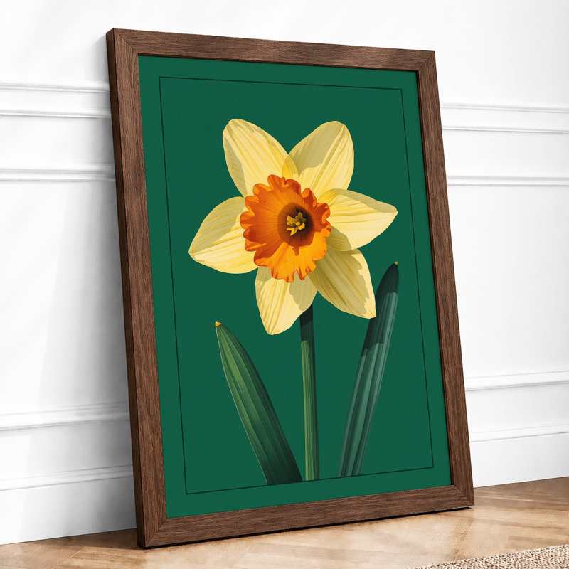 Daffodil Study Botanical - Framed Print, A2 - 59.4 x 42.0 cm, Walnut