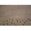 Hand-Knotted High-Quality Gold Area Rug
